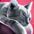 猫咪旅店（CatHotel）手游