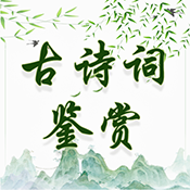 古诗词鉴赏app 绿色版v1.0.5 