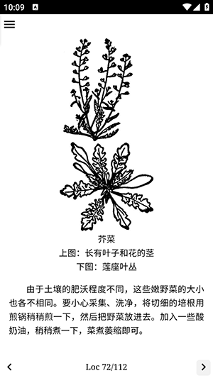 野外植物识别手册 野外植物识别手册