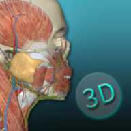 人体解剖学图集 2025.12.28 手机版