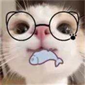 主题仓Pro 绿色版v1.0.1