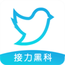 飞鸟下载器 官方版v3.98