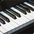 RealPiano 安卓版v1.29