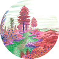 Zoomquilt 3.4 手机版