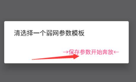 金砖弱网12.0