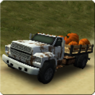 Dirt Road Trucker 3D游戏