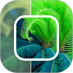 模糊照片修复app 绿色版v23.11.24