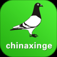 查鸽网 20241128 安卓版