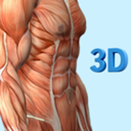 人体解剖学图谱 1.0.6 手机版