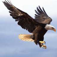 思归 2.3.9 安卓版