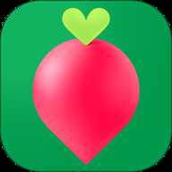 叮咚买菜 12.16.0 最新版