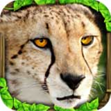 Cheetah Sim