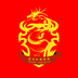 龙之队体育安卓版2026最新版