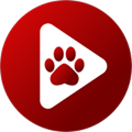 BearPlayer 2.20.26 手机版