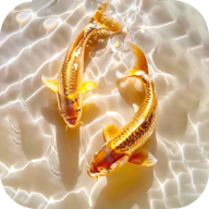 桌面养鱼壁纸app 安卓版v1.0.12