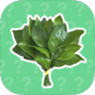 广西大师语音盒 1.02 安卓版