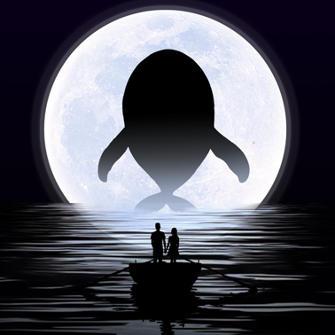 鲸智谷app手机最新版