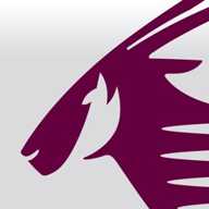 卡塔尔航空 25.21H 官方版