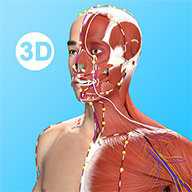 针灸大师 3.5.1 安卓版