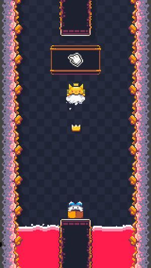 猫猫冲撞