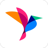 高考纸鸢 1.0.0 安卓版