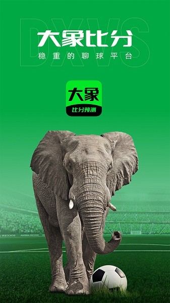 大象体育安卓版中文版