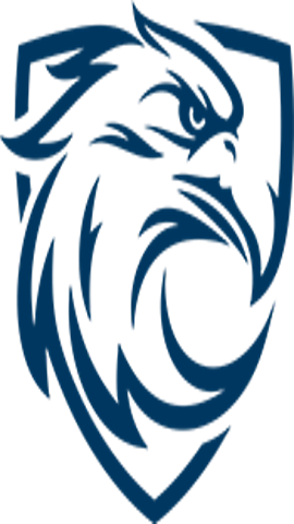 蓝鹰视界 6.0.1 安卓版