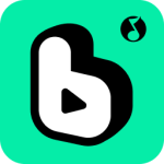 波点音乐app 标准版v5.5.5