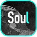 Soul倾心app