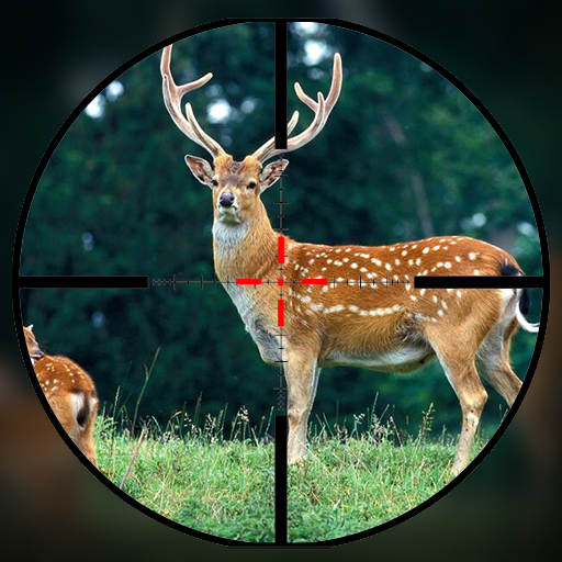 模拟丛林猎杀游戏