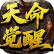 苍月天命觉醒手游