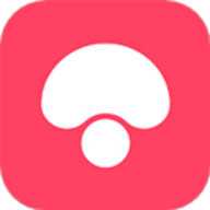 蘑菇街 18.4.3.24999 安卓版