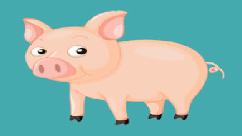 metv直播电视版 2.8.0.5 官方版