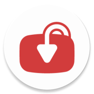 YTDLnis 中文版v1.8.8