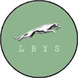 猎豹影视最新版本