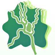 津津通 2.0.1 最新版