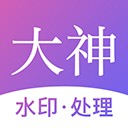 大神水印 官方版v2.8.7