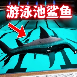 奇怪游泳池游戏