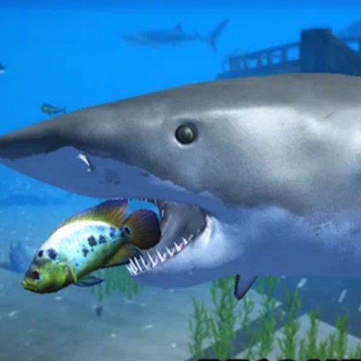 生存海洋任务游戏