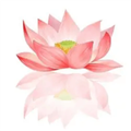 荷花工具箱app 正版v1.1