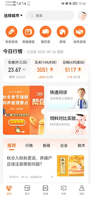 正大猪博士最新版本