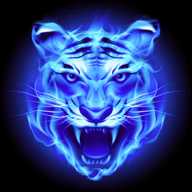 4虎影院 1.10 官方版