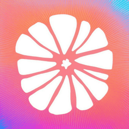 柠檬框架游戏辅助器app 绿色版v12.0.6.0