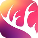 阡鹿旅游app 安卓版v9.2.2