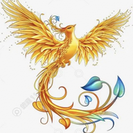 凤凰影视TV版 6.6 安卓版