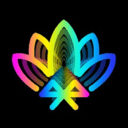 宝莲灯pro app 安卓版v5.17.01