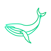 维普论文官方版 1.0.3安卓版