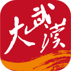 大武汉app 安卓版v7.7.10