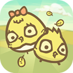 小鸡二人组最新版