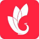 巅峰减重app 3.6.1手机版